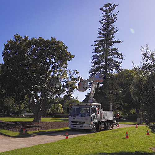 Citywide Arboriculture Australia Sponsorship (1)