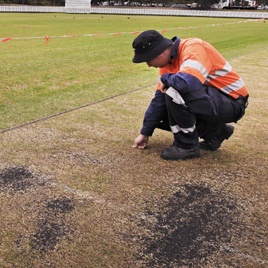 Citywide Cricket Markers Initiative (1)