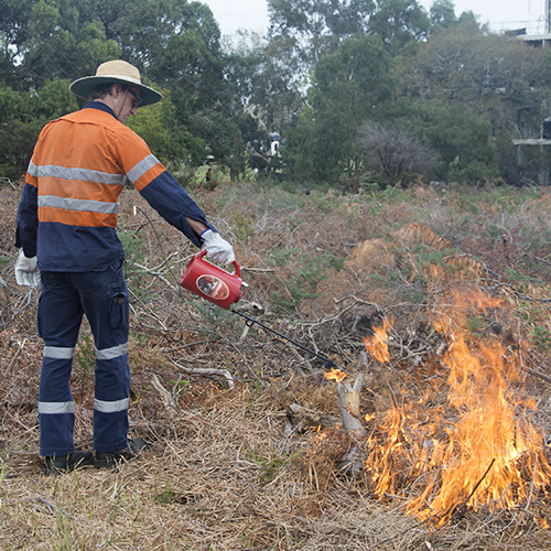 2021 04 26 Bayside Controlled Burn Grid Brhs Burn 6